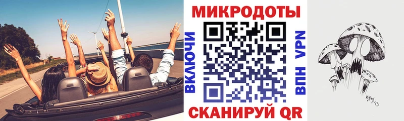 Галлюциногенные грибы Psilocybe  нарко площадка наркотические препараты  Сясьстрой 